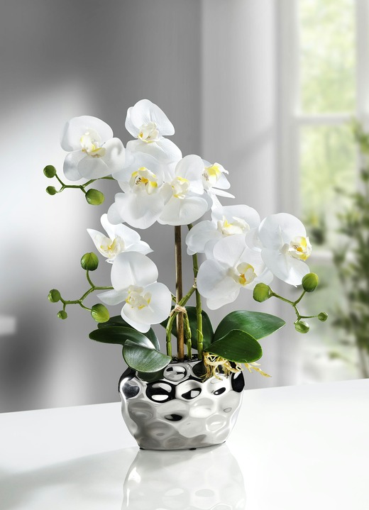 Wohnen - Orchidee im Topf, in Farbe SILBER