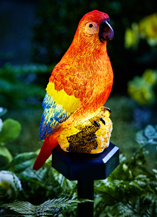 Garten - Solar-Papagei, in Farbe BUNT