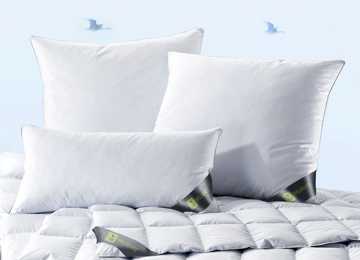 Bettwaren - Hochwertiges Kissenprogramm von Spessarttraum – Beste Qualität für erholsamen Schlaf, in Größe 120 (80/ 80 cm) bis 121 (40/ 80 cm), in Farbe SILBER