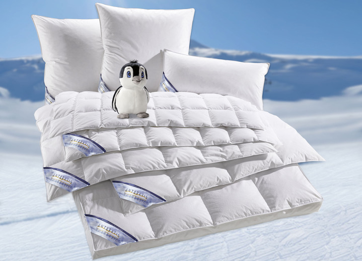 Bettwaren - Daunenprogramm Antarktis von Spessarttraum, in Größe 103 (Decke, 135/200 cm) bis 403 (Sparset, 4-teilig, mit gratis Kuschel-Pinguin), in Farbe WEISS, in Ausführung Warm