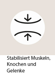 Logo_StabilisiertMuskeln