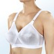 Soft-BH - Playtex BH in Zauberkreuz-Schnittform – Farbe WEISS – Ansicht 1 Soft-BH - Playtex BH in Zauberkreuz-Schnittform, in Größe 075 bis 100, in Cup C, in Farbe WEISS, in Ausführung Einzeln – Farbe WEISS – Ansicht 1