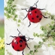 Gartendekoration - Solar-Marienkäfer, 2er-Set – Farbe ROT – Ansicht 1 Gartendekoration - Solar-Marienkäfer, 2er-Set, in Farbe ROT – Farbe ROT – Ansicht 1