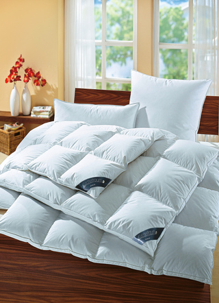 Bettwaren - Bettwarenprogramm Kuscheltraum von Häussling, in Größe 103 (Decke 135/200 cm) bis 403 (2x 80/80 cm + 2x 135/200 cm), in Farbe WEISS, in Ausführung Medium