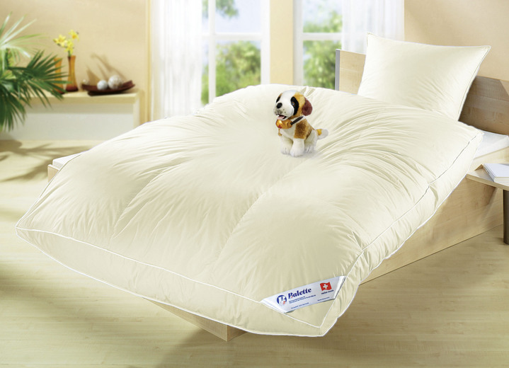 Bettwaren - Ballonbett in Kassettenform von Balette, in Größe 103 (Decke, 135/200 cm) bis 403 (4-teiliges Sparset), in Farbe CREME, in Ausführung Polar Warm Ansicht 1