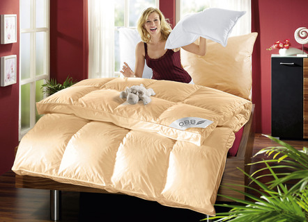 Bettwaren - Daunen-Bettwaren-Programm von OBB, in Größe 103 (Decke 135/200 cm) bis 403 (2x 80/80 cm + 2x 135/200 cm), in Farbe WEISS, in Ausführung Leicht