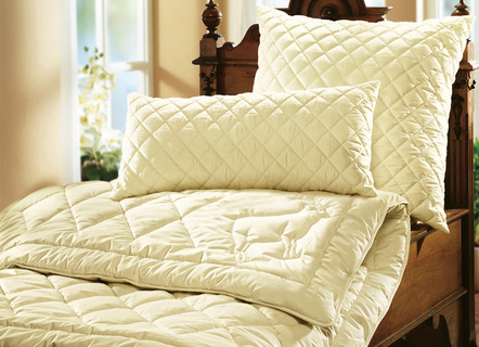 Bettwaren - F.a.n.-Bettwarenprogramm mit feinsten und hochwertigen Edelhaaren – Farbe NATUR – Ansicht  Bettwaren - F.a.n.-Bettwarenprogramm mit feinsten und hochwertigen Edelhaaren, in Größe 103 (135/200 cm) bis 112 (200/200 cm), in Farbe NATUR, in Ausführung Leicht-Steppbett – Farbe NATUR – Ansicht