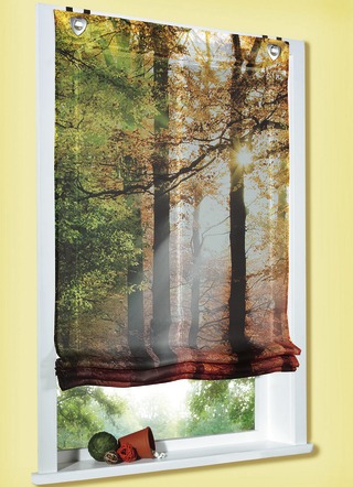 Foto Rollo Wald Klemmfix Ohne Bohren Klemmrollo Mit Motiv