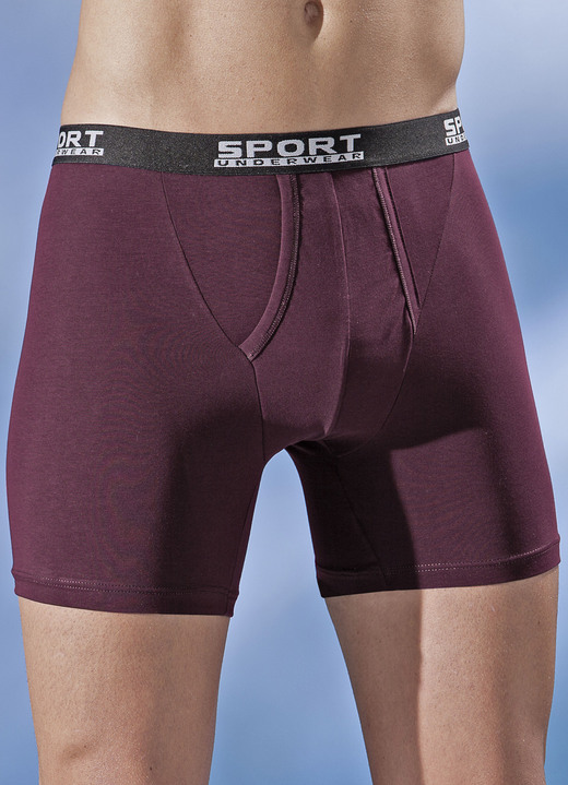 Pants & Boxershorts - Dreierpack Pants aus Feinjersey, uni bunt, in Größe 005 bis 011, in Farbe 2X MARINE, 1X BORDEAUX Ansicht 2