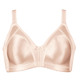Soft-BH - Naturana Minimizer-BH mit vorgeformten Cups – Farbe ZARTAPRICOT – Ansicht 2 Soft-BH - Naturana Minimizer-BH mit vorgeformten Cups, in Größe 075 bis 105, in Cup B, in Farbe ZARTAPRICOT – Farbe ZARTAPRICOT – Ansicht 2