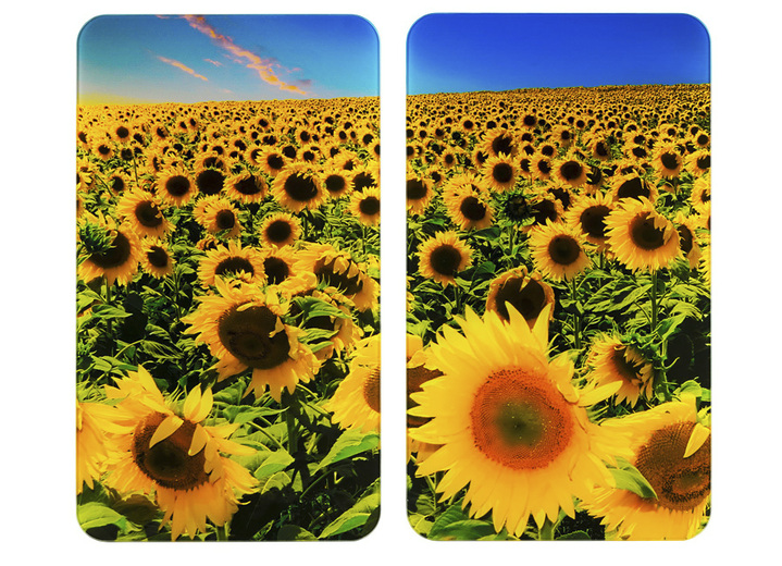 Küchenhelfer - Herdabdeckplatten Sonnenblumen, 2er-Set, in Farbe SONNENBLUMEN
