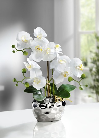 Orchidee im Topf - Kunst- & Textilpflanzen | BADER