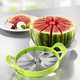 - Melonenschneider für 12 Melonenstücke – Farbe GRÜN – Ansicht 2 - Melonenschneider für 12 Melonenstücke, in Farbe GRÜN – Farbe GRÜN – Ansicht 2