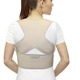 Gesunder Rücken - Rückenstützgürtel – Ansicht 1 Gesunder Rücken - Rückenstützgürtel, in Größe 1 (S/M), Taillenumfang 60–95 cm bis 2 (L/XL), Taillenumfang 96–130 cm, in Farbe  – Ansicht 1