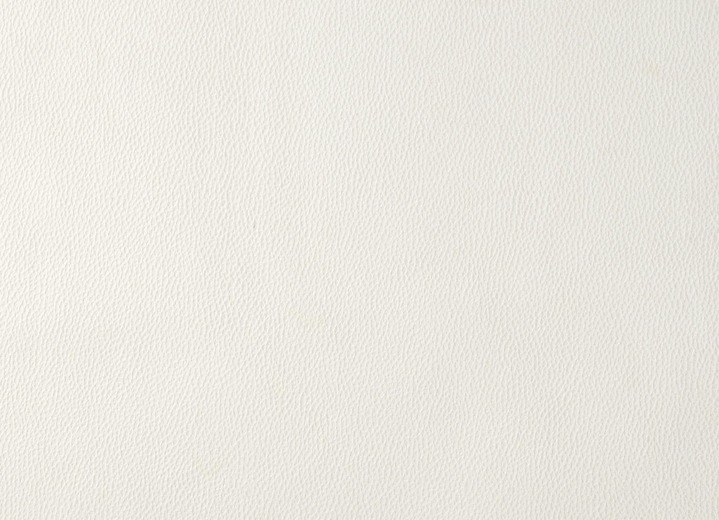 - Tierfreundliche Schutzdecken für Sessel und Sofa, in Größe 100 (Auflage, 50x 90 cm) bis 865 (2 Armlehnenschoner, 38x 55 cm), in Farbe CREME