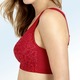 Soft-BH - Miss Mary BH mit unterlegter Elastikspitze im Vorderteil, in Größe 075 bis 110, in Cup D, in Farbe ROT – Farbe ROT – Ansicht 2