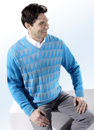 Attraktiver Pullover in 2 Farben