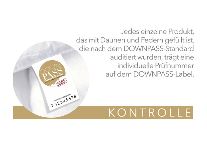 Bettwaren - Daunenprogramm Platin von Spessarttraum, in Größe 103 (135/200 cm) bis 110 (155/220 cm), in Farbe WEISS, in Ausführung EXTRA LEICHT Ansicht 3