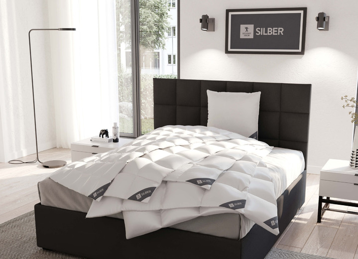 Bettwaren - In Deutschland hergestelltes Daunenprogramm aus dem Hause Spessarttraum Ansicht 5 Bettwaren - In Deutschland hergestelltes Daunenprogramm aus dem Hause Spessarttraum, in Größe 103 (135/200 cm) bis 121 (40/ 80 cm), in Farbe , in Ausführung Blue Kissen Ansicht 5