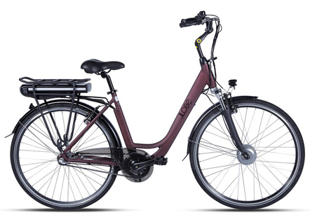 Akku-City-Fahrrad mit überzeugenden Fahreigenschaften und Design