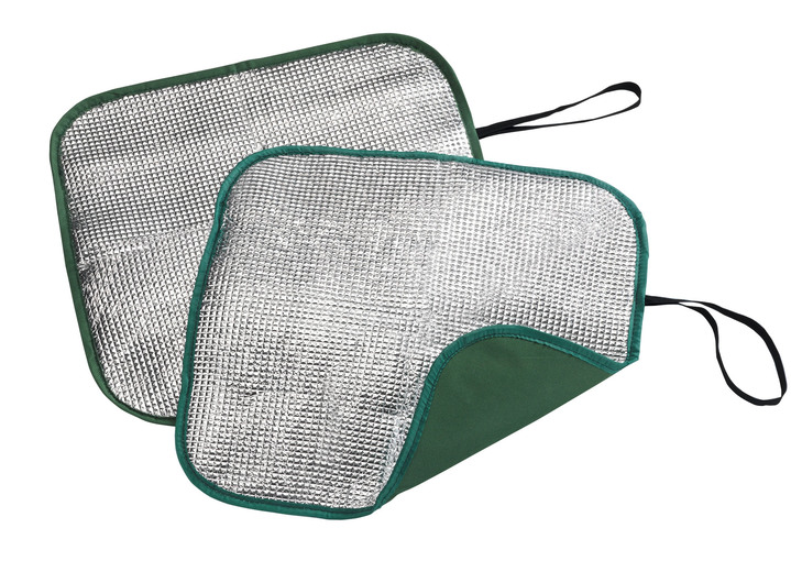 Wärme & Entspannung - Thermo-Sitzkissen, 2er Set, in Farbe SILBER-GRÜN Ansicht 2