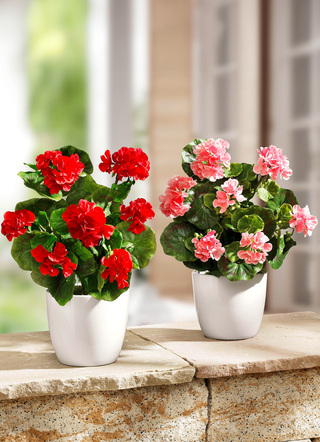 Kunst- & Textilpflanzen - Geranie im Keramiktopf, in Farbe ROT