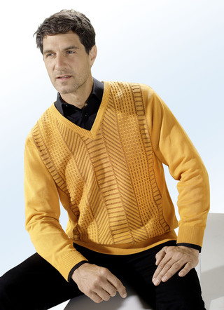 Trendstarker V-Pullover in 3 Farben