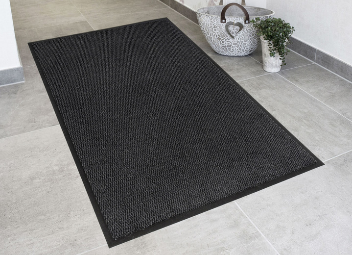 Fußmatten - Andiamo Schmutzfangmatten für innen und außen, in Größe 101 (40x 60 cm) bis 165 (120x180 cm), in Farbe BLAU Ansicht 7