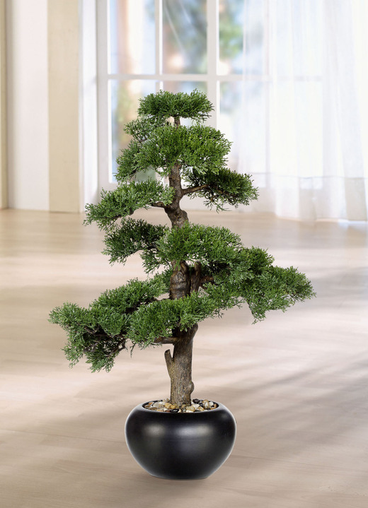 Kunst- & Textilpflanzen - 70 cm hoher Zeder-Bonsai, in Farbe GRÜN