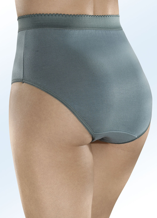 Slips - Sechserpack Formslips mit verstärkter Bauchpartie, in Größe 038 bis 054, in Farbe 3X MAUVE, 3X LORBEER Ansicht 3