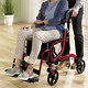 Rollatoren & Rollstühle - Rollator, auch als Rollstuhl nutzbar, in Farbe ROT – Farbe ROT – Ansicht 1