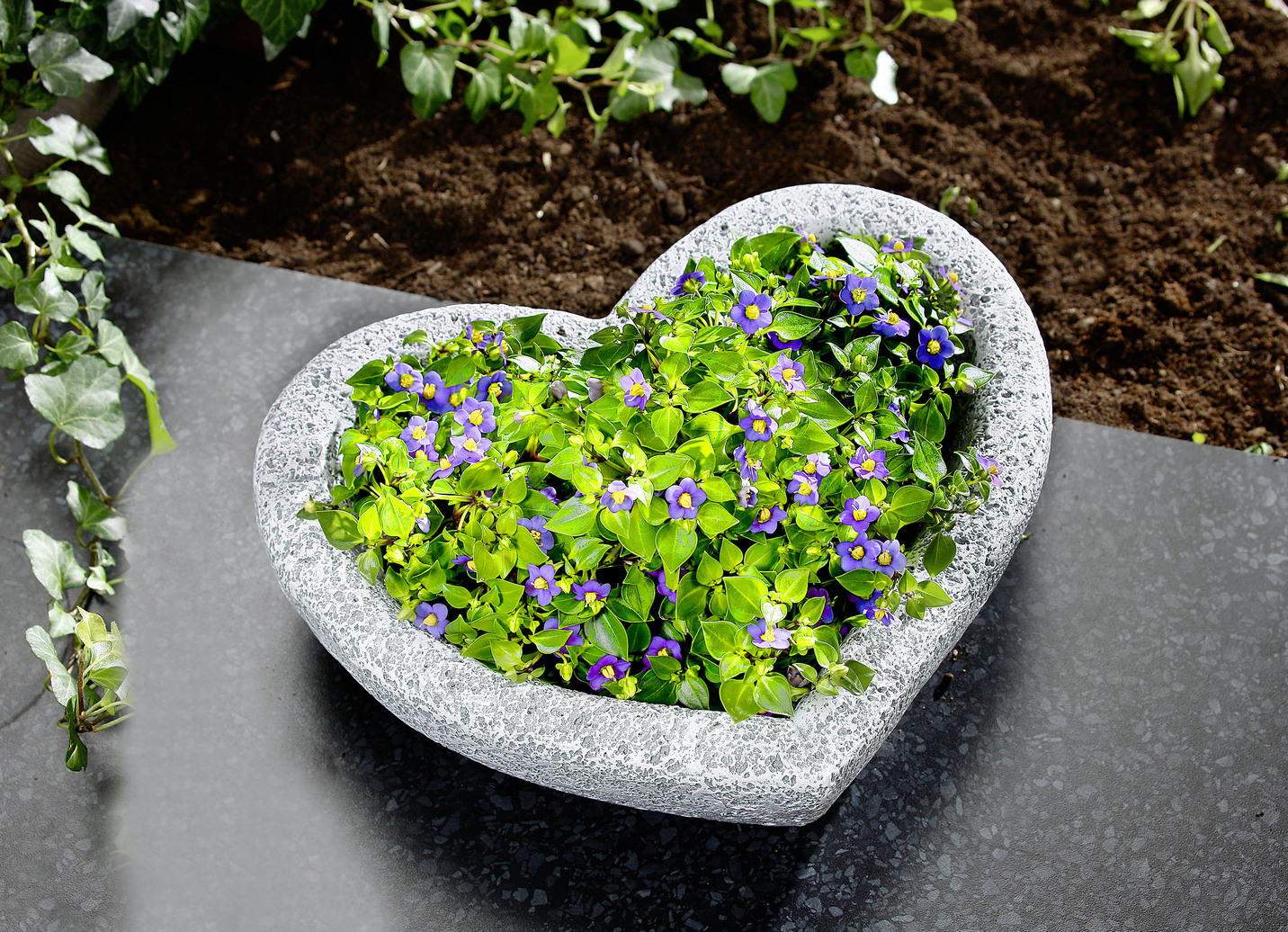 HerzPflanzschale aus wetterfestem Polyresin Garten BADER