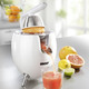 Küchengeräte - Zitruspresse mit Tropfstopp und Start-/ Stopp-Automatik – Farbe WEISS – Ansicht 1 Küchengeräte - Zitruspresse mit Tropfstopp und Start-/ Stopp-Automatik, in Farbe WEISS – Farbe WEISS – Ansicht 1