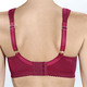 - BH mit elastischer Spitze, in Größe 080 bis 110, in Cup C, in Farbe BORDEAUX – Farbe BORDEAUX – Ansicht 2