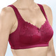 - BH mit elastischer Spitze, in Größe 080 bis 110, in Cup C, in Farbe BORDEAUX – Farbe BORDEAUX – Ansicht 1