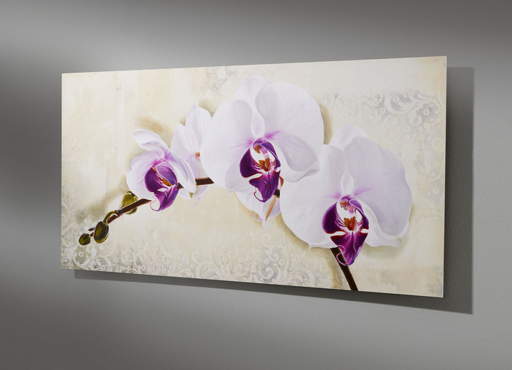 Blumen - Hochwertiges Bild mit Orchideenblüten, in Farbe CREME-WEIß