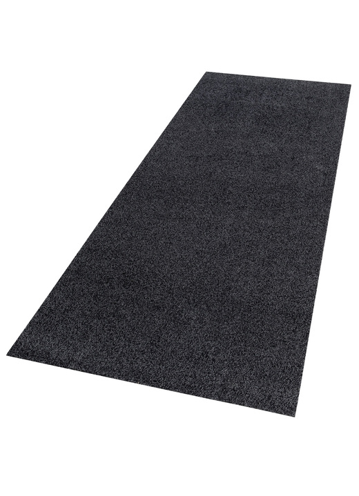 Fußmatten - Waschbare Schmutzfangmatte für innen und außen Ansicht 5 Fußmatten - Waschbare Schmutzfangmatte für innen und außen, in Größe 101 (40x 60 cm) bis 120 (100x150 cm), in Farbe ANTHRAZIT Ansicht 5
