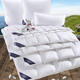 Bettwaren - Hochwertige Daunendecken-Serie von Spessarttraum, in Größe 103 (Decke 135/200 cm) bis 403 (Sparset, 4-teilig, mit gratis Frottier-Katze), in Farbe WEISS, in Ausführung Leicht – Farbe WEISS – Ansicht 2