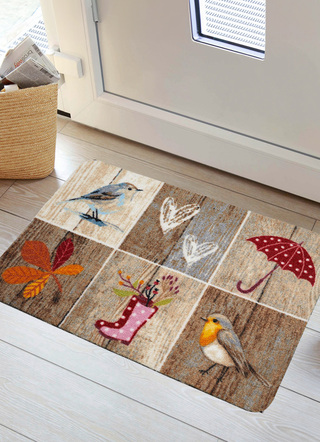 Fußmatten - Fußmatte mit rutschhemmender Latex-Rückseite, in Größe 100 (40x60 cm) bis 103 (50x70 cm), in Farbe BUNT