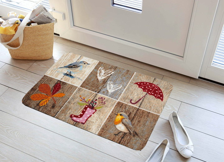 Fußmatten - Fußmatte mit rutschhemmender Latex-Rückseite, in Größe 100 (40x60 cm) bis 103 (50x70 cm), in Farbe BUNT