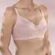 Wäsche - BH mit Elastikspitze, in Größe 075 bis 105, in Cup C, in Farbe ALTROSA – Farbe ALTROSA – Ansicht 1