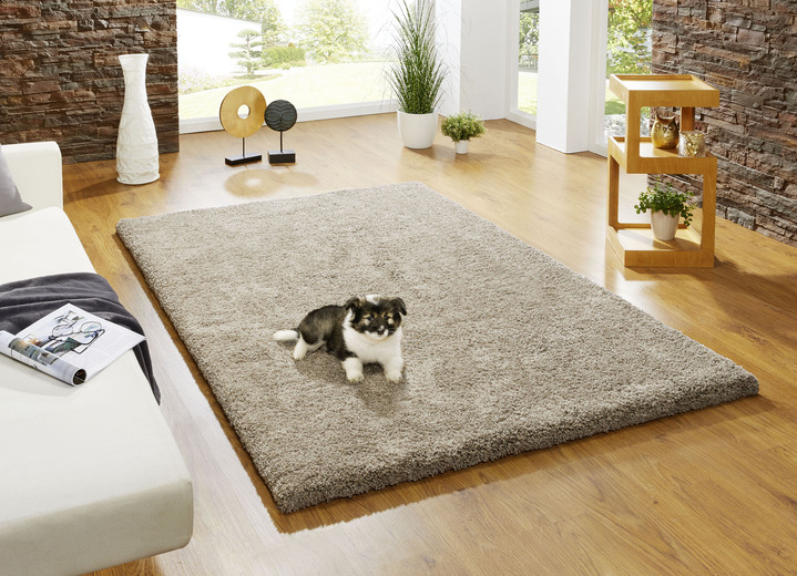 Modern - Kombistarke Brücken, Galerien und Teppiche aus dichtgewebtem Shaggy-Flor Ansicht 7 Modern - Kombistarke Brücken, Galerien und Teppiche aus dichtgewebtem Shaggy-Flor, in Größe 111 (Brücke, 60x110 cm) bis 305 (Teppich, ø 160 cm), in Farbe BEIGE Ansicht 7