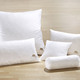 Bettwaren - Kissenserie mit goldfarbener Satin-Biese – Farbe WEISS Bettwaren - Kissenserie mit goldfarbener Satin-Biese, in Größe 120 (80/80 cm) bis 124 (Nackenrolle, 15/40 cm), in Farbe WEISS, in Ausführung Qualität I: 100% Federn