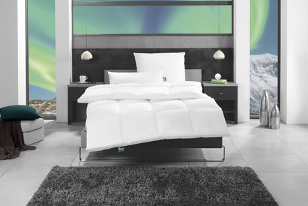 Bettwaren - F.a.n. Bettwaren-Programm First Class, in Größe 103  (Decke, 135/200 cm) bis 121  (Kissen, 40/ 80 cm), in Farbe WEISS, in Ausführung 3-Kammer-Kissen – Farbe WEISS – Ansicht 