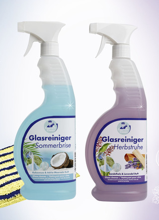 Glasreiniger-Set