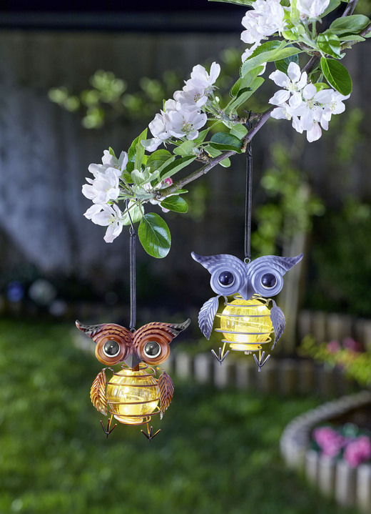 Garten - Solar-Eulen-Hänger, 2er-Set, in Farbe BUNT