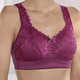 Soft-BH - BH mit elastischer Spitze, in Größe 080 bis 110, in Cup C, in Farbe WEINROT – Farbe WEINROT – Ansicht 1
