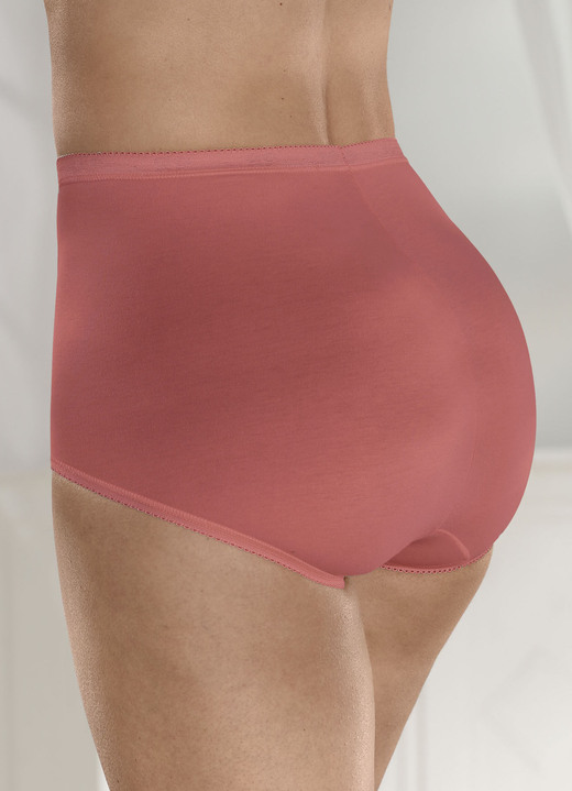 Slips - Sloggi Dreierpack Maxi-Slips , in Größe 038 bis 058, in Farbe 1X APRICOT, 1X ECRU, 1X TERRA Ansicht 6