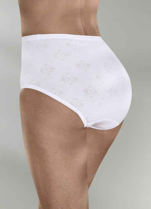 Slips - Dreierpack Speidel Slips aus BIO-Baumwolle, in Größe 038 bis 050, in Farbe WEISS Ansicht 2