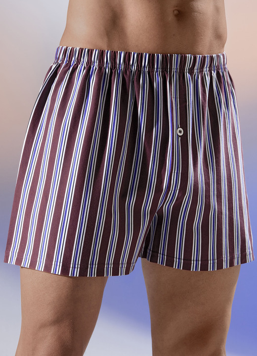 - Viererpack Boxershorts mit Dehnbund, in Größe 005 bis 016, in Farbe 3X KASTANIE-BUNT, 1X UNI KASTANIE
